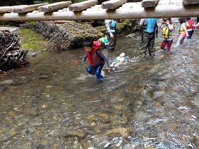 DSCN0747.jpg