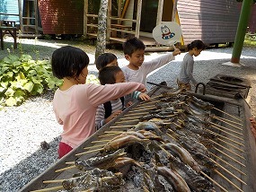 DSCN1434.jpg
